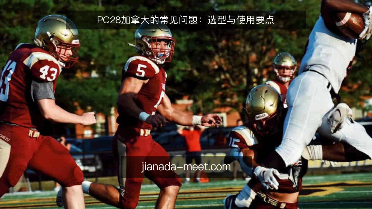 PC28加拿大的常见问题:选型与使用要点