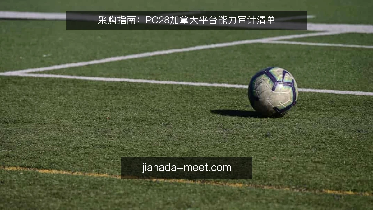 采购指南:PC28加拿大平台能力审计清单