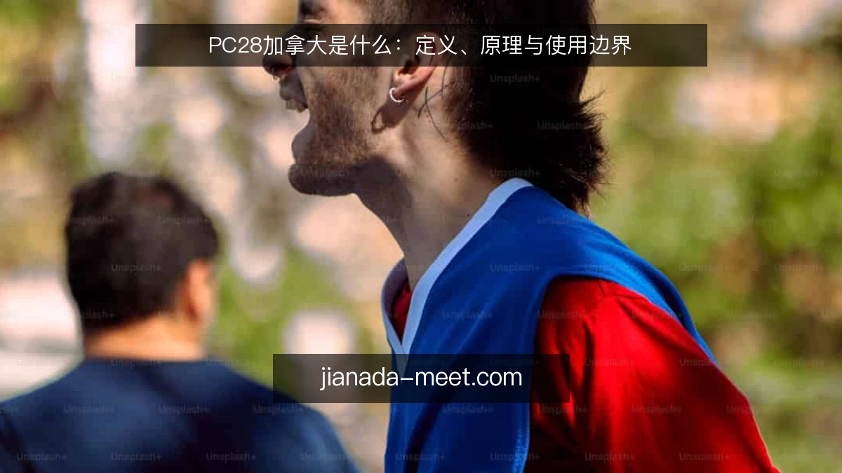 PC28加拿大是什么:定义、原理与使用边界
