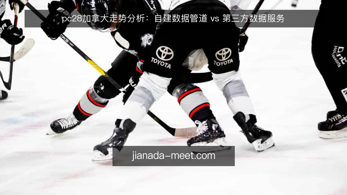 pc28加拿大走势分析：自建数据管道 vs 第三方数据服务