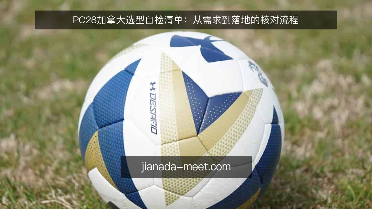 PC28加拿大选型自检清单:从需求到落地的核对流程