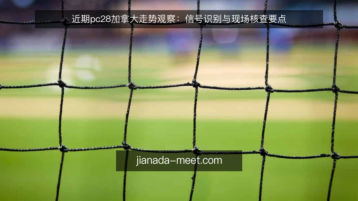 近期pc28加拿大走势观察：信号识别与现场核查要点