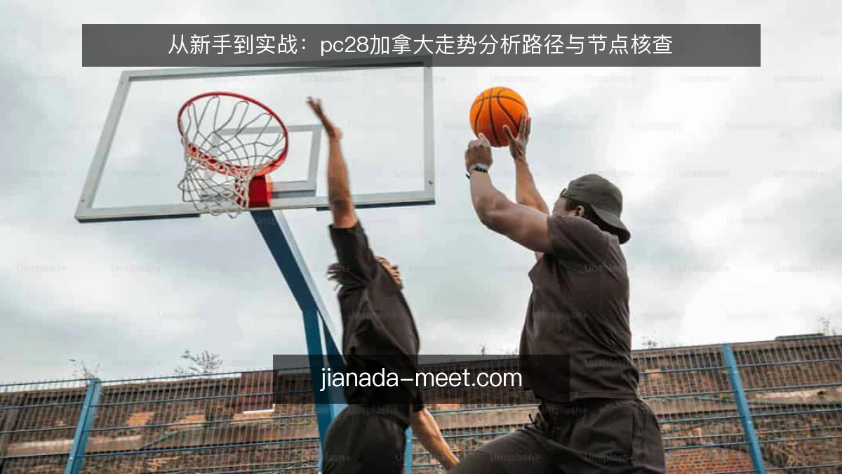从新手到实战：pc28加拿大走势分析路径与节点核查