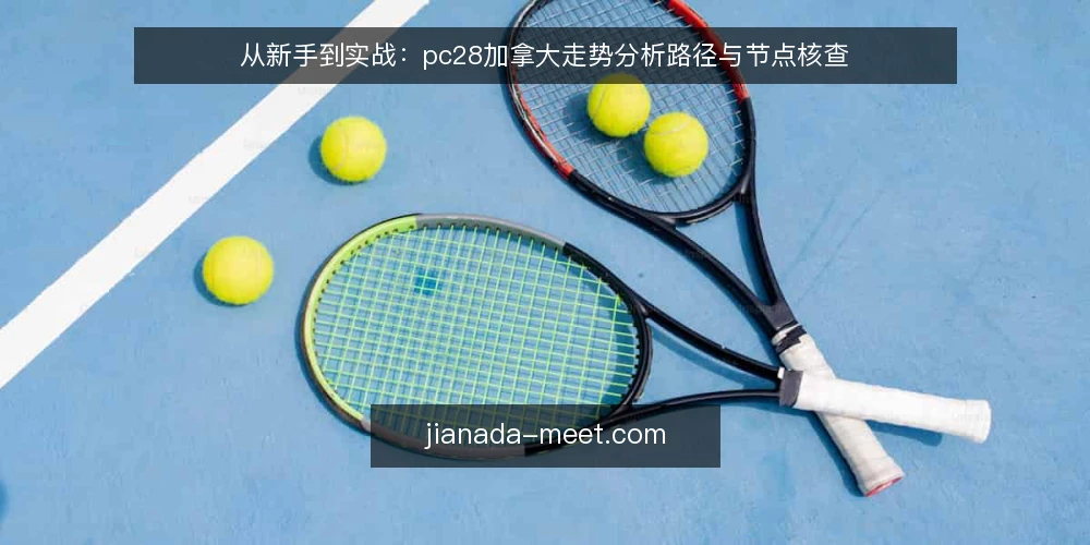 从新手到实战:pc28加拿大走势分析路径与节点核查 — pc28加拿大走势分析,新手该从哪里开始? 配图
