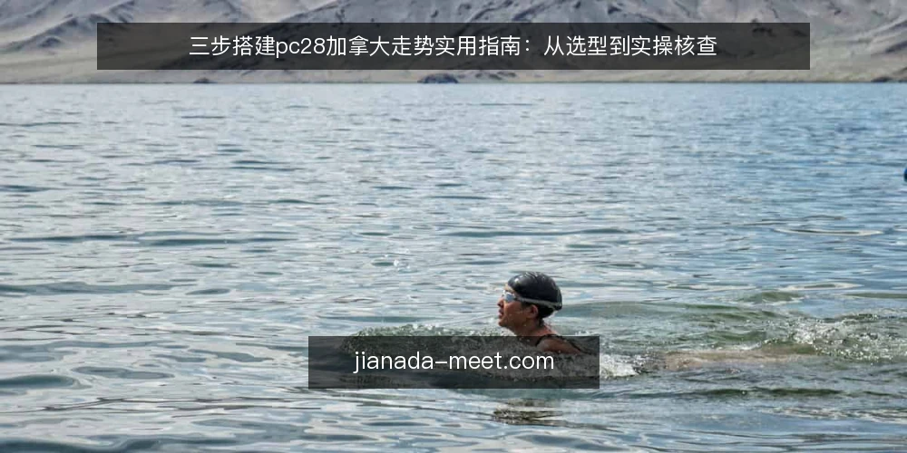 三步搭建pc28加拿大走势实用指南:从选型到实操核查 — 第一步:明确pc28加拿大走势分析的核心需求 配图