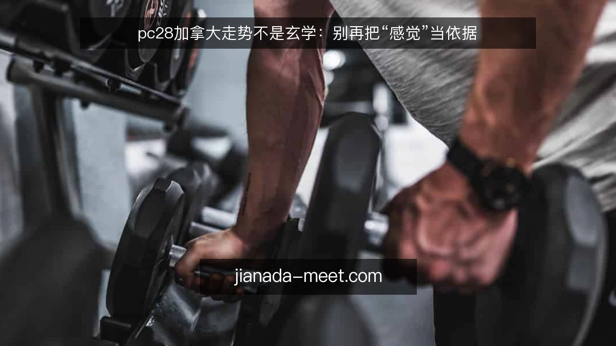 pc28加拿大走势不是玄学：别再把“感觉”当依据