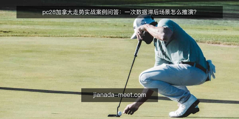pc28加拿大走势实战案例问答：一次数据滞后场景怎么推演？ — 场景设定：数据滞后的一天 配图