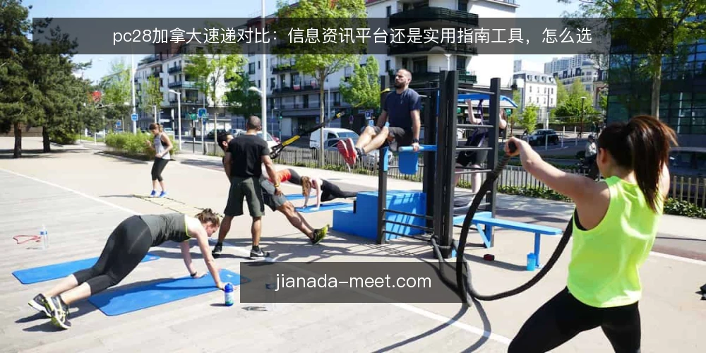 pc28加拿大速递对比:信息资讯平台还是实用指南工具,怎么选 — 先定义需求:你要的是速递还是指南 配图