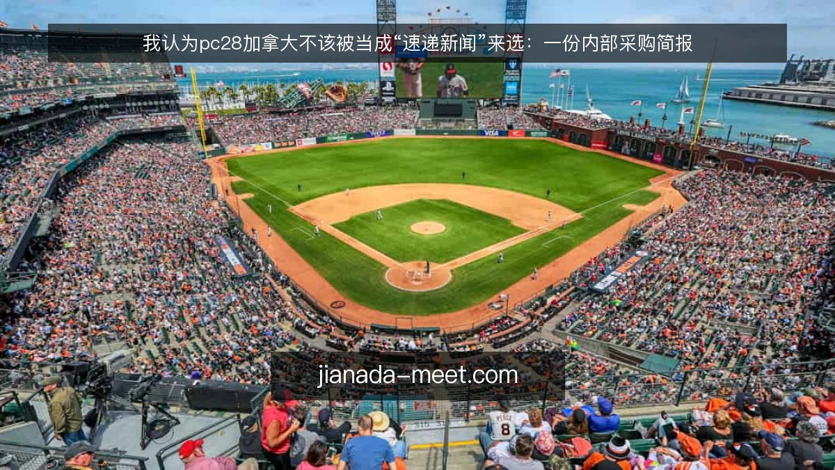我认为pc28加拿大不该被当成“速递新闻”来选：一份内部采购简报