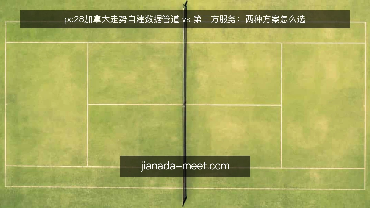 pc28加拿大走势自建数据管道 vs 第三方服务:两种方案怎么选