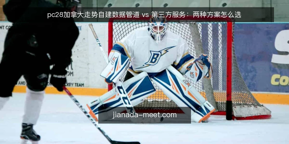 pc28加拿大走势自建数据管道 vs 第三方服务:两种方案怎么选 — 先定评估标准:选型前要问清什么 配图